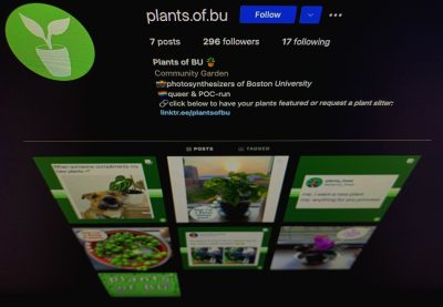 BU Instagram账号的植物