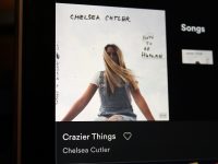 切尔西·卡特勒在spotify上的疯狂歌曲